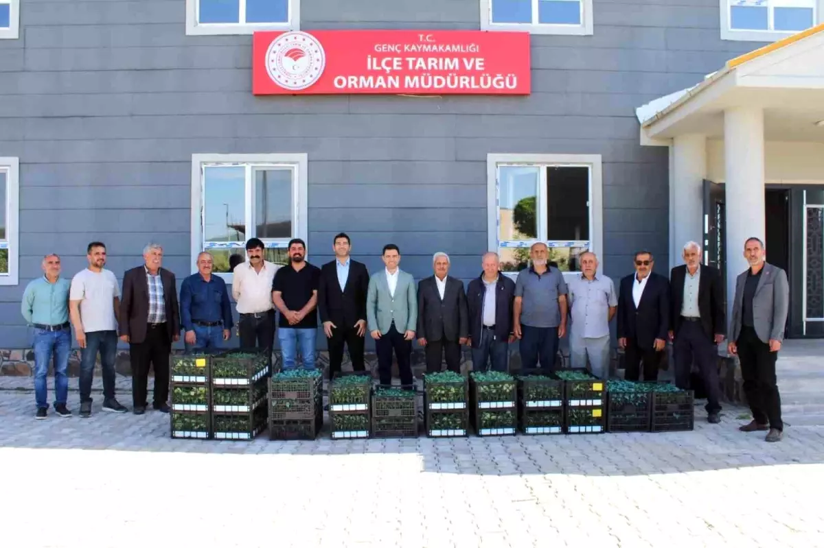 bingolde-ureticilere-30-bin-adet-zerzevat-fidesi-dagitildi-8HKldwXG.jpg