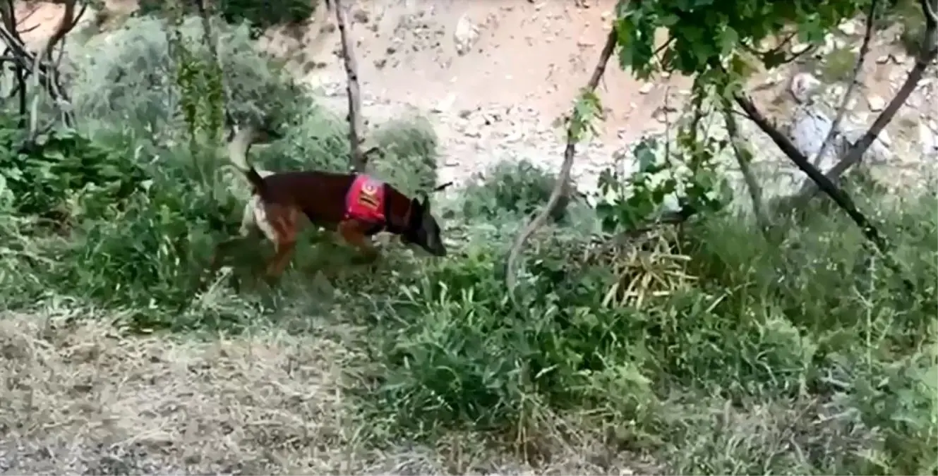bitliste-18-kilo-esrar-ele-gecirildi-8hP1Cajk.jpg